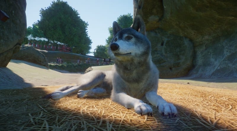 Planet Zoo Wolf