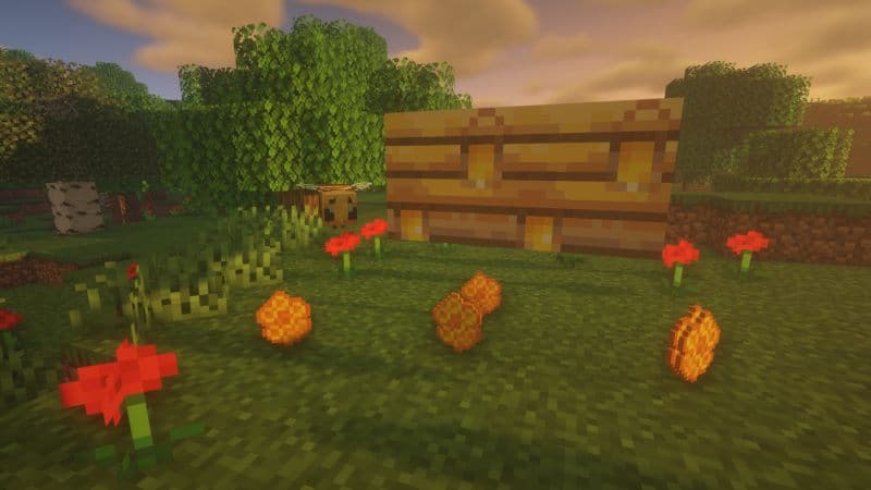 Honeycomb Bee Nest Minecraft collect drops