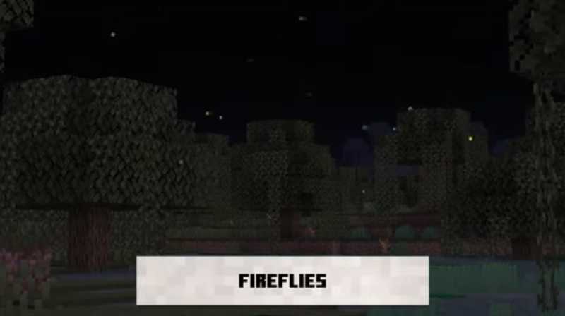 Minecraft Live 2021 Fireflies