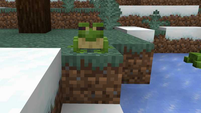 Cold Minecraft Frog on snow