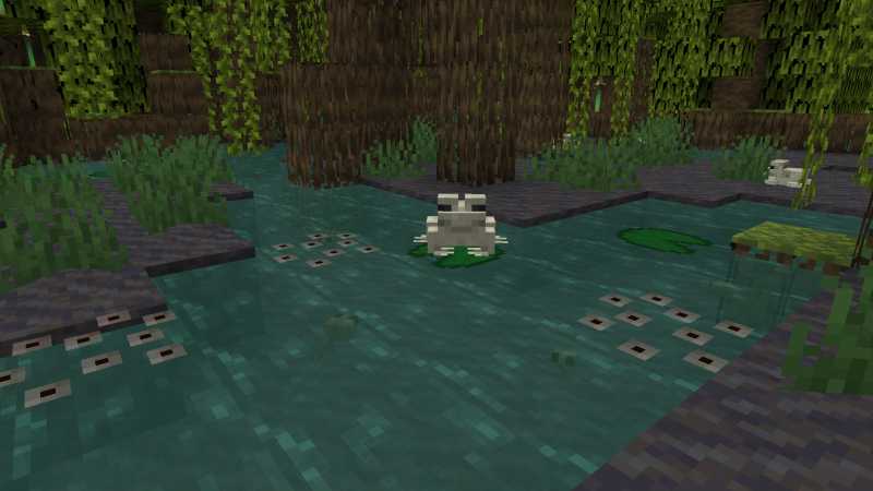 Minecraft Frogs Frogspawn Tadpoles